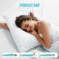 2-Pack Cotton Stripe Plush Bed Pillows | Lux Decor Collection